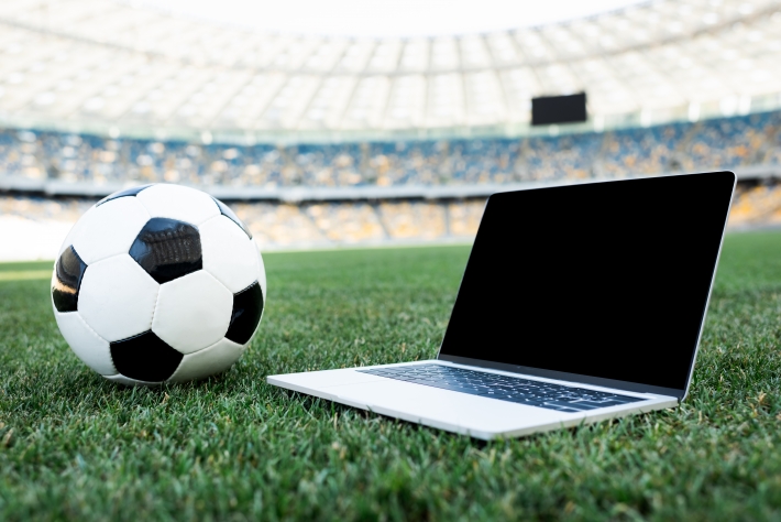 apostas online
